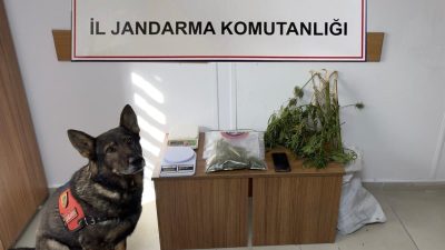 Erzincan İl Jandarma Komutanlığı, Eylül 2024 ayında gerçekleştirdiği asayiş, trafik,