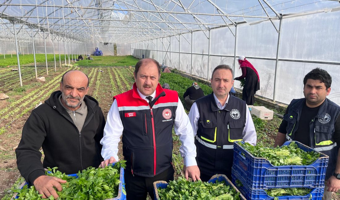 Yaz sezonunun sona ermesinin ardından kışlık sebzeler pazarlarda ve manavlarda