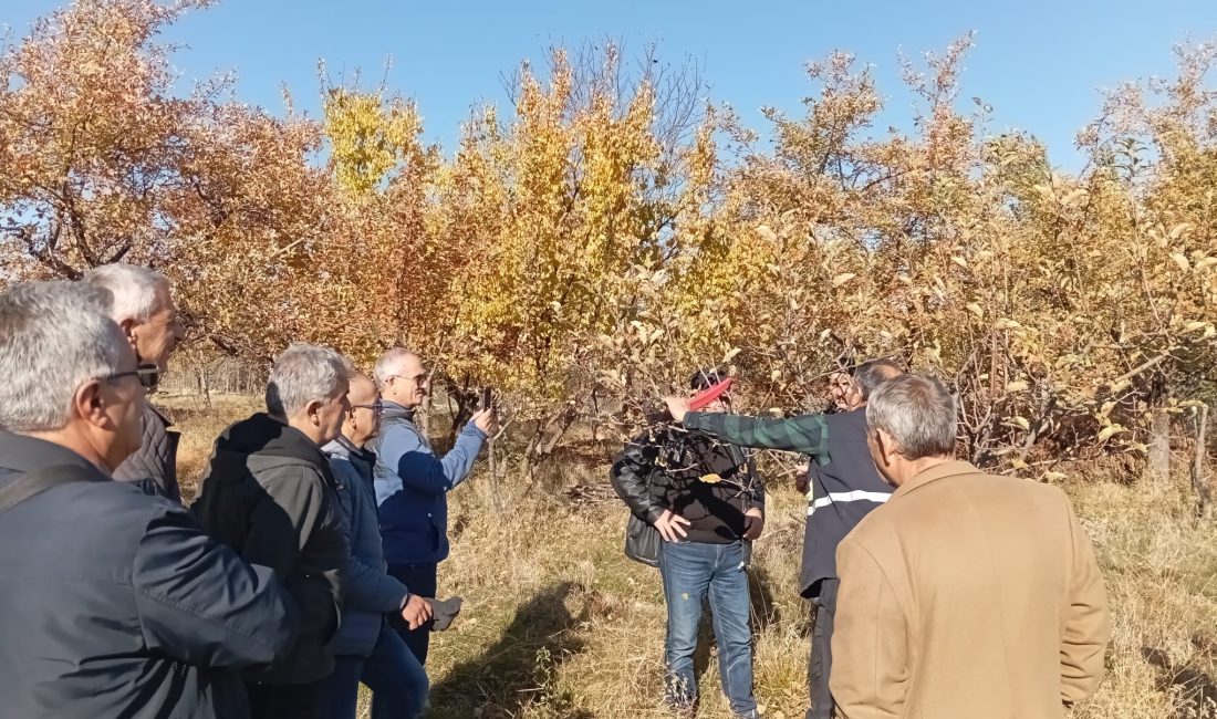 Erzincan Tarım ve Orman İl Müdürlüğü Bitkisel Üretim ve Bitki