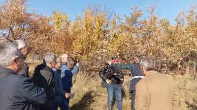 Erzincan Tarım ve Orman İl Müdürlüğü Bitkisel Üretim ve Bitki