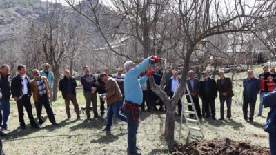Erzincan Bahçe Kültürleri Araştırma Enstitüsü tarafından hayata geçirilen Erzincan Tarım