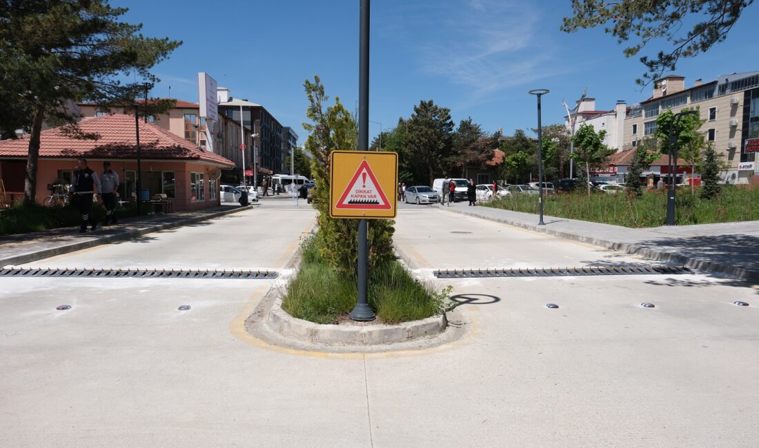Erzincan Belediyesi Zabıta Müdürlüğü ekipleri tarafından, EBYÜ Mengücek Gazi Eğitim