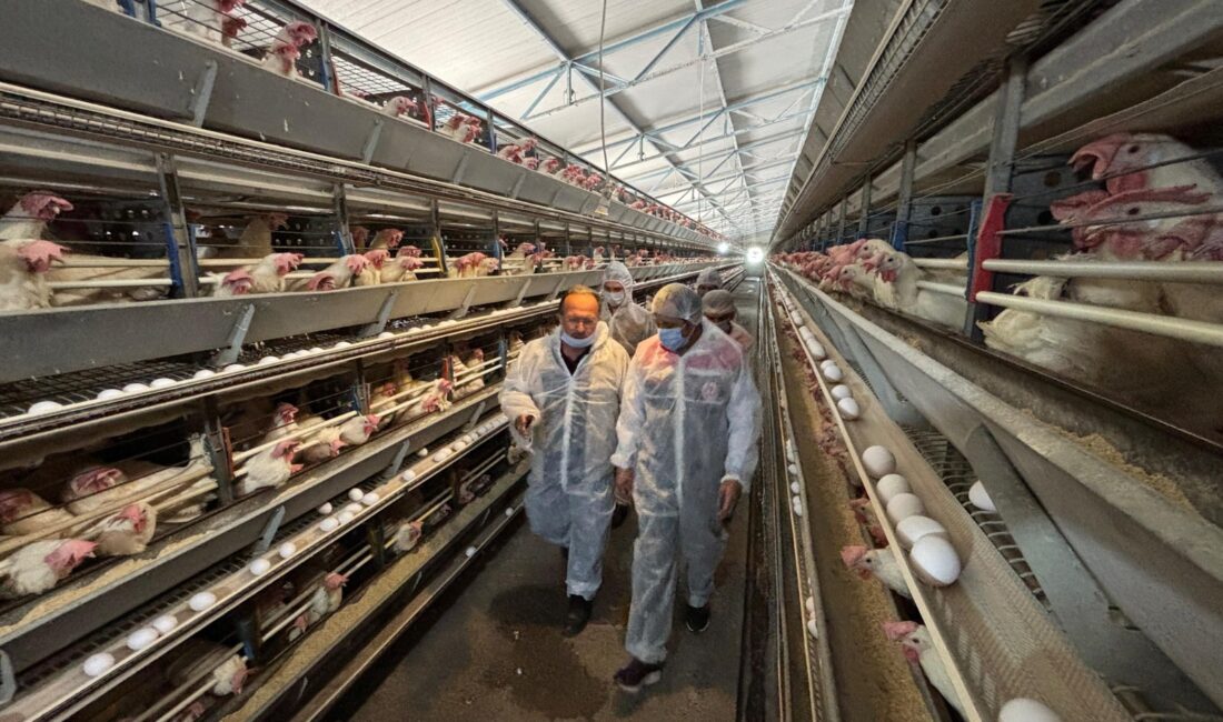 Erzincan’da uzun bir geçmişe sahip olan, Erzincan ekonomisine daima katkı
