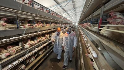 Erzincan’da uzun bir geçmişe sahip olan, Erzincan ekonomisine daima katkı