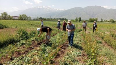 Erzincan’da tarım sezonunun başlamasının ardından Erzincan Tarım ve Orman İl