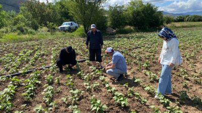Erzincan çiftçisine Tarım Arazilerinin Kullanımının Etkinleştirilmesi Projesi kapsamında tedarik edilen