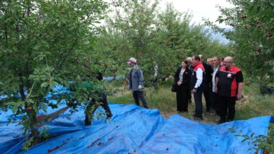Erzincan’da Temmuz ayıyla birlikte dut, kiraz gibi meyvelerin ardından vişne