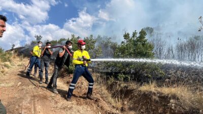 Erzincan’ın İliç ilçesine bağlı Bağcuğaz köyünde çıkan orman ve mera