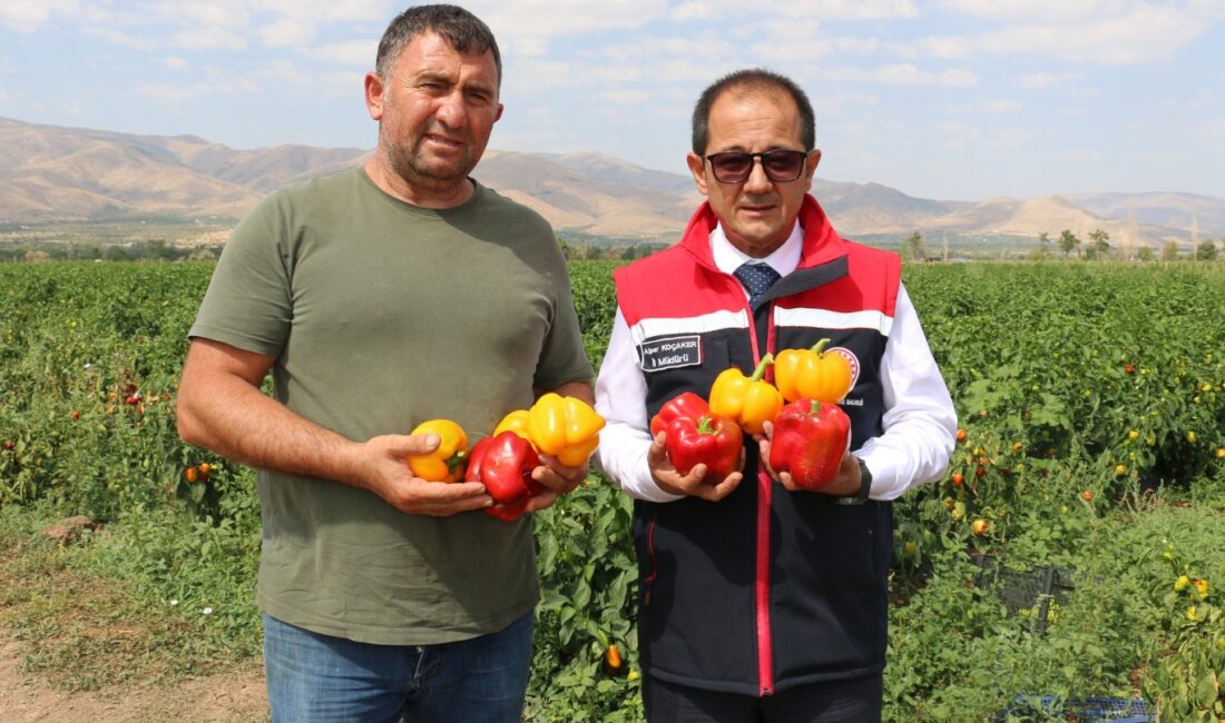 Erzincan coğrafyası, iklimi, suyu, bereketli toprakları ve yeniliklere açık, yüzü