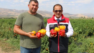 Erzincan coğrafyası, iklimi, suyu, bereketli toprakları ve yeniliklere açık, yüzü