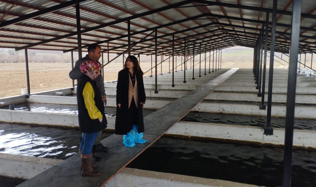 Erzincan’ın Tercan ilçesinde su ürünleri üretimine yönelik denetim ve incelemeler