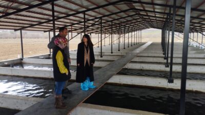 Erzincan’ın Tercan ilçesinde su ürünleri üretimine yönelik denetim ve incelemeler