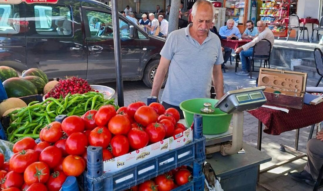 Erzincan Belediyesi Zabıta Müdürlüğü ekipleri, il genelindeki iş yerleri ve