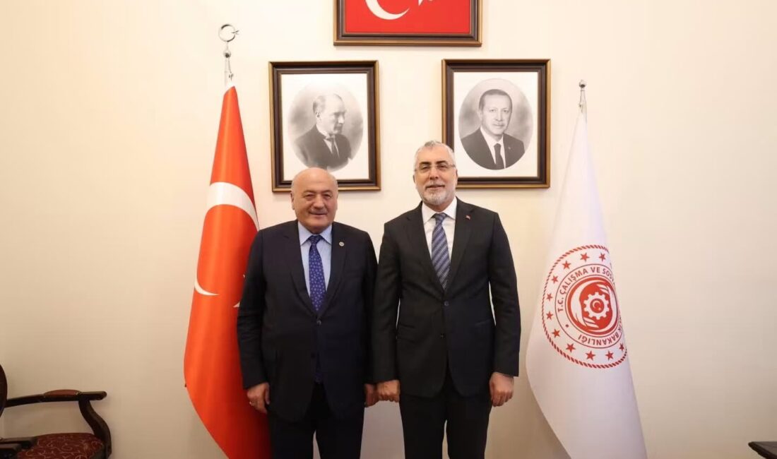 Erzincan Milletvekili Süleyman Karaman, Çalışma ve Sosyal Güvenlik Bakanı Sayın