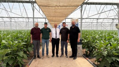 Erzincan Ticaret ve Sanayi Odası Başkan Adayı Süleyman Tan, kentte
