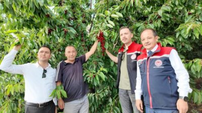 Erzincan Tarım ve Orman İl Müdürü Alper Koçaker ile Üzümlü