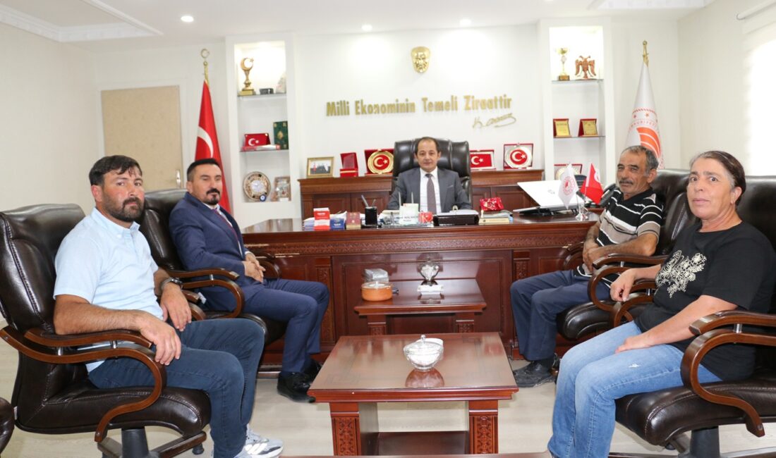 Erzincan’da uzun yıllardır sürdürülen manda yetiştiriciliğinin daha güçlü bir yapıya