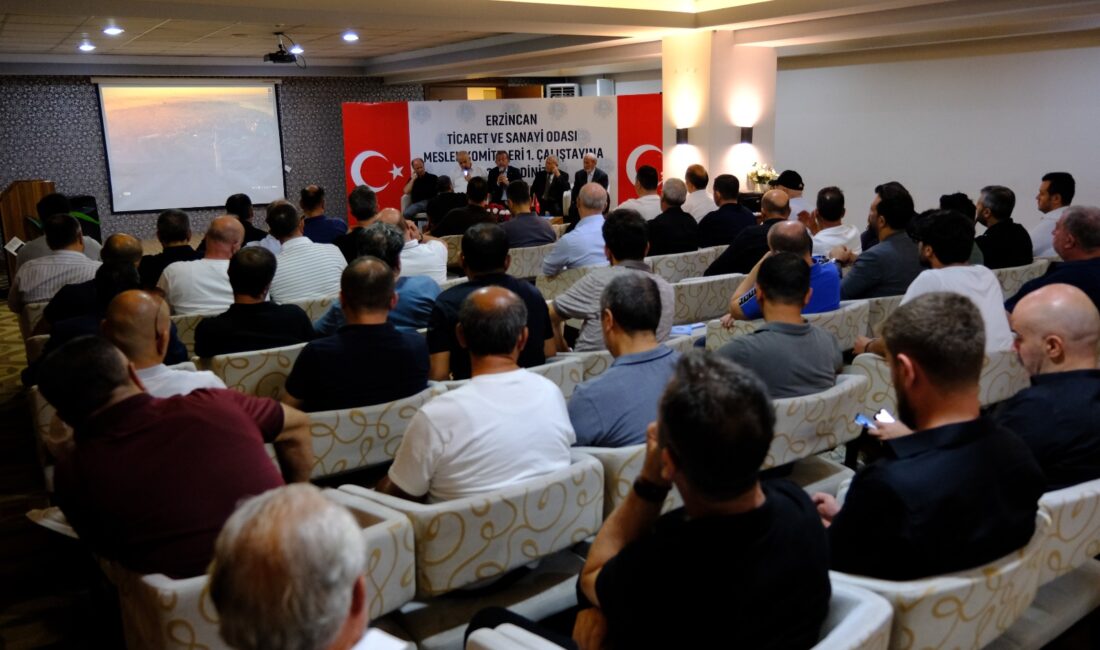 Erzincan Ticaret ve Sanayi Odası 13. Grup Dayanıklı Tüketim Malları,