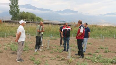 Erzincan’ın Üzümlü ilçesine bağlı Denizdamı Köyü’nde, kent tarımında önemli bir